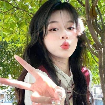 钢炽之芯